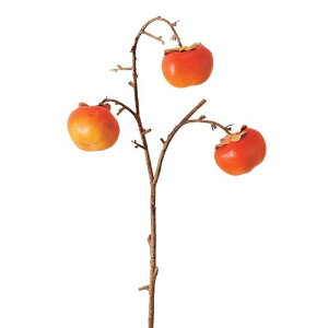 75cm JLXvC [ONSLESP5883] |lHϗtA A[gt[  tFCNO[ HiTv   t fR[V  Cxg p[eB[ t[AWg ԍ C