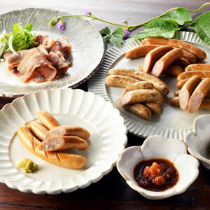 Dyoion̖íAFܕsgp kC uDyoiot[Yv kCYMtg[SHS1000073]