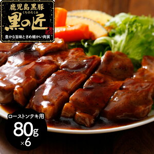 OOɈďグuLȎ|Ƃߍׂv Y  ȕv [XgeLiv480gj[SHS7240541]