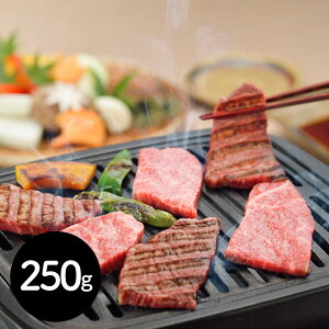 򕌌Yјa̒4ȏ́uˋv͂܂  uJAЂv ˋēp 250g[SHS7270142]