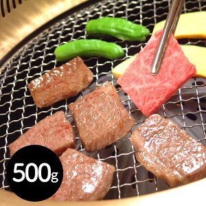 򕌌Yјa̒A4ȏ́uˋv͂  uJAЂv ˋ[Xēp 500g[SHS7270144]