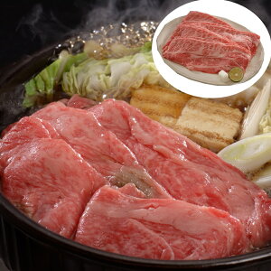  MBv~A₫EԂԗp SHS3950011 | Hi  v~A lߍ킹 Ε ̓ i Yi