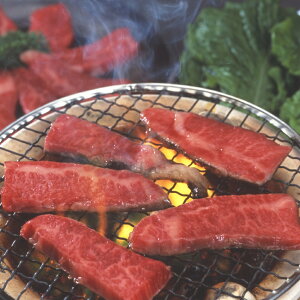  MBv~A ē  350g SHS3950287 | Hi  ē lߍ킹 Ε ̓ i Yi