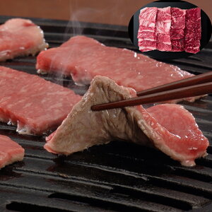 Od ㋍ ē  o 550g SHS3950349 | Hi  ē lߍ킹 Ε ̓  Y ȗ