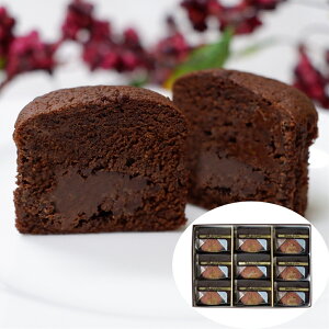 u~JhvgtVRP[L 9 SHS4570038 |XC[c َq mَq P[L lߍ킹 a  o^Cf[ v[g