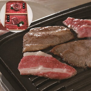 _ˋ㋍ Ԑ iv600gj SHS790088 | Hi  ㋍ lߍ킹 Ε ̓ Yi ȗ j