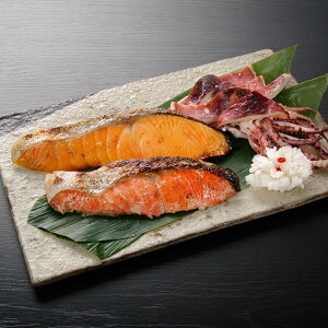 Ђؐgl E (ЂAЂAÖXЂ) 20 lߍ킹 VNȊC̍K̒ЂؐgZbgI SHS0080347 | YHi Hi  Ε ̓ Yi