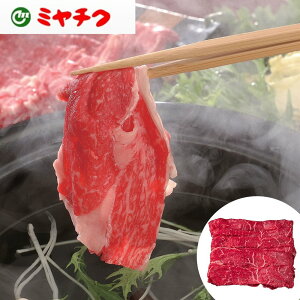 {苍 Ԃ 500g {苍̂ SHS0130216 | Ԃ Hi Ε ̓  Y