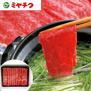 {苍Ԃ  800g {苍̂ SHS0130220 | Ԃ Hi Ε ̓  Y