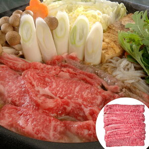 {苍₫ [X 600g {苍̓Ƃ̑~̗ǂ\ SHS0130229 | Hi  Ε ̓  Y