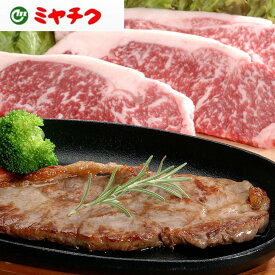 ロースステーキ B 宮崎牛 SHS0130290 |精肉 肉加工品 牛肉 お歳暮 父の日 お中元 名産
