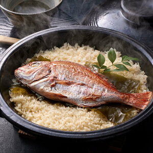  VRΑgp ߂̂ Αۂ1g߂ SHS0130300 | YHi  Ε ̓  Y