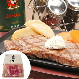 飛騨牛 ロースステーキ 480g (約240g×2枚) 岐阜 SHS6940005 |精肉 肉加工品 牛肉 セット 詰め合わせ お歳暮 父の日 特産品