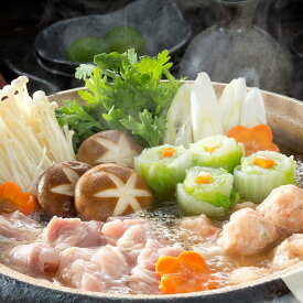 モモ・ムネ水炊用 (500g) 高知 土佐はちきん地鶏 SHS7240065 |精肉 肉加工品 鶏肉 セット 詰め合わせ お中元 父の日 快気祝い