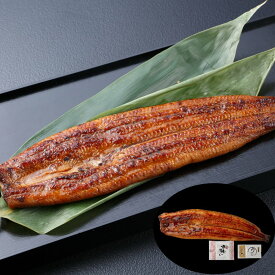 うなぎ問屋の大五蒲焼（一人前） SHS8480019 |魚介類 水産加工品 加工品 うなぎ お中元 父の日 名産