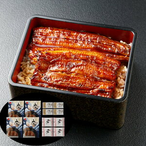 うなぎ問屋の大五蒲焼(4袋) SHS8480021 |魚介類 水産加工品 加工品 うなぎ お中元 父の日 名産