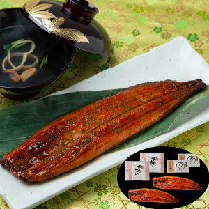「山道養鰻場」 宮崎県産うなぎ 2尾 計240g(肝吸付き) こだわりの生産者「山道養鰻」のうなぎセット SHS8480025 |魚介類 水産加工品 加工品 うなぎ お中元 父の日 名産