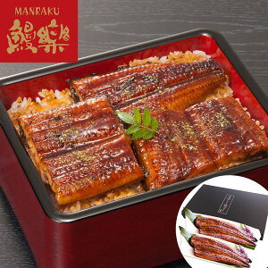 Ȃ 4 (v560gjOOɍ΂Ăグ܂ SHS0130365 Vy BY |EiM V  Ε ̓  Y