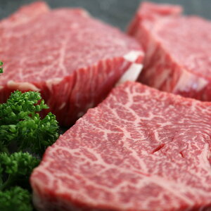 ꋍ̃Xe[L ꋍ Xe[L 100g×4 (v400g) SHS0130550 | Xe[L Hi Ε ̓  Y