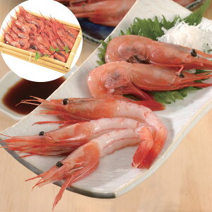 Â 500g (23~30) {C SHS0890013 | YHi Â Ε ̓ 