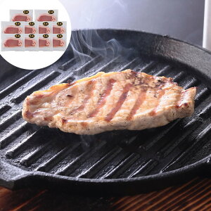 [XXe[Lp 60g ()×10 Y؎gp SHS0930072 |ؓ Hi Xe[L  ̓ Cj