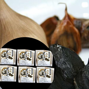 nɂɂ MTCY×6 XY SHS1700007 | ̂ ɂɂ Ε  ̓