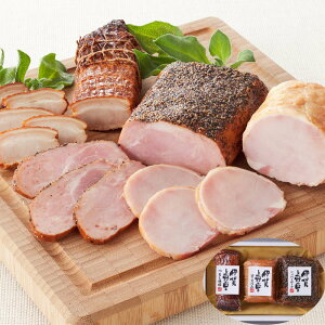 l (邵ē170g [Xn250g ybp[|[N310g) Od ɉ̗ SHS3070069 | Hi [Xn  ̓ Ε