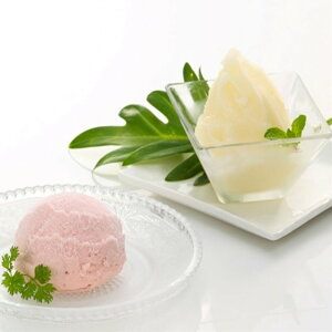  N`GV[xbg&zPACXN[l V SHS3850011 |ACXN[ V[xbg a  ̓ Zbg