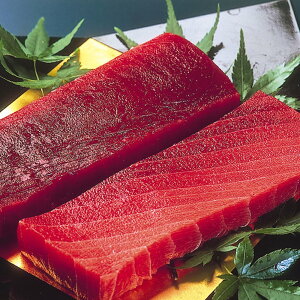 天然南まぐろ赤身と中とろ A 静岡 SHS3890040 |魚介類 水産加工品 マグロ お歳暮 父の日 特産品