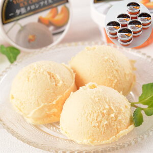 [ACX 65ml×13 kC ACXN[ SHS4450176 |v~AACX Mtg a  ̓ Zbg