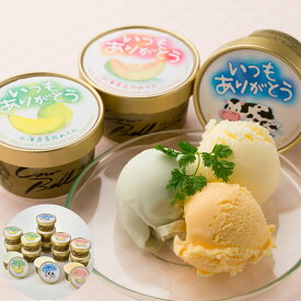 いつもありがとう 北海道 アイスセット（バニラ、赤肉メロン、北海道メロンの計14個） 北海道産の生乳を使用した3種のアイスセット SHS4450204 |アイスクリーム シャーベット 誕生日 お中元 母の日 セット