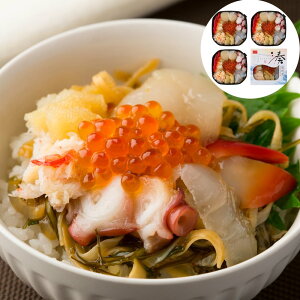 7CN O BZbg (300g×4) 7ނ̊CN؏OЂ SHS4450216 |Hi Е y Ε ̓ 