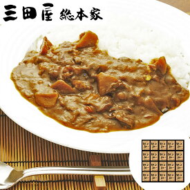 ビーフカレー(20食) 三田屋総本家 SHS4560015 |惣菜 カレー お中元 お歳暮 母の日