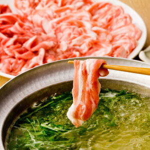  ԂԃZbg SHS4660048 | Hi ؓ Zbg lߍ킹  ̓ Cj