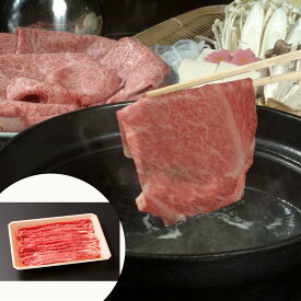 前沢牛 しゃぶしゃぶ 500g (肩・もも) 岩手 SHS4800005 |牛肉 しゃぶしゃぶ 肉加工品 お歳暮 父の日 特産品