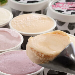 u\h`Fv \qACX 80ml×10 kC SHS5000084 |ACXN[ V[xbg a  ̓ Zbg