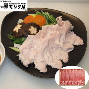 Og؃[XԂԗp 450g nƖ2N us^v SHS5840056 |ؓ Hi Ԃ  ̓ Cj