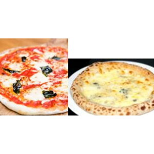 ͍̃UjAsbcAZbg  SHS6730001 |˗ pX^ Ε  a