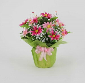 K[xbsOAWP sN[MRS10-02301]| tFCNO[ lHA fR[V Xܑ   t  K[x t[AWyCxgpi AW