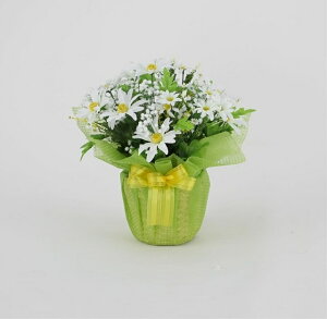 K[xbsOAWW zCg[MRS10-02301]| tFCNO[ lHA fR[V Xܑ   t  K[x t[AWyCxgpi A