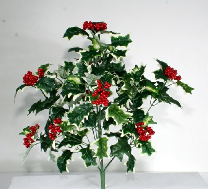楽天市場 Set 柊ブッシュ 3本セット Mrsmeb78 クリスマス 造花 フェイクグリーン 人工植物 デコレーション 店舗装飾 飾り 飾りつけ 飾り付け 柊 ブッシュ 造花装飾専門店 緑花堂
