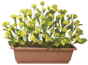 ؂̉ԃXNGAv^[[MRS08-01103]| tFCNO[ lHA fR[V Xܑ   t t[AW ؂̉ ^ CG[yCxgpi AW