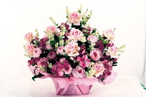 ~L[[YAW[MRS09-01705]| tFCNO[ lHA fR[V Xܑ   t  ΂ o KN [Y t[AWyCxgpi fBXv