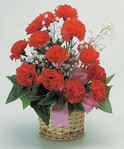 ̓AWt[[MRS06-00124]|̓  tFCNO[ lHA fR[V Xܑ   t J[l[V bhyCxgpi AWg f