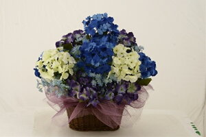 oXPbg[MRS09-03201]| tFCNO[ lHA fR[V Xܑ   t   AWTC z oXPbgyCxgpi t[Mtg 