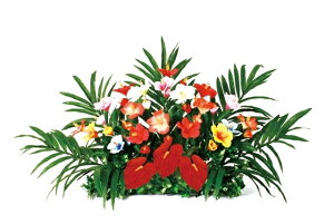 T}[e[uAW[MRS09-05706]| tFCNO[ lHA lHϗtA fR[V Xܑ   t  T}[ t[AWyCxgpi AW