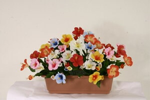 nCrXJXv^[[MRS09-06002]| tFCNO[ lHA fR[V Xܑ   t  nCrXJXyCxgpi AWg CeA z