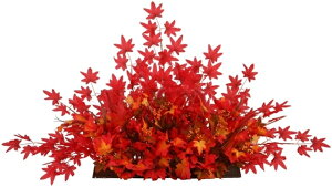 I[^e[uAW[MRS15-10804]| tFCNO[ lHA fR[V Xܑ   t  I[^ ~W ݂ gtyCxgpi AWg