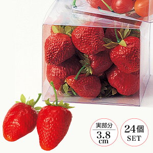 ~jXgx[24[MRSA-20288]|tFCNt[h HiTv t[c ʕ fR[V Xܑ   t  Xgx[  C`S 䕁yAWg 