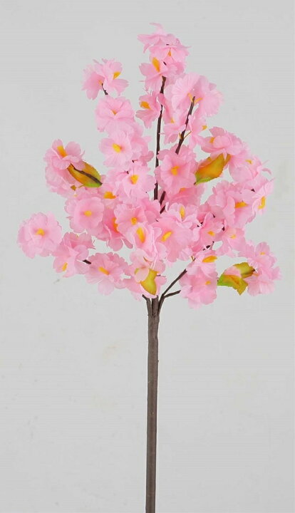 楽天市場 踊り用桜持ち花 Mrs11 造花 フェイクグリーン 人工植物 デコレーション 店舗装飾 飾り 飾りつけ 飾り付け 踊り用 ボンボリ ぼんぼり 21cm さくら サクラ 桜 スプリング 春 造花装飾専門店 緑花堂 楽天市場 踊り用桜持ち花 Mrs11 造花 フェイクグリーン 人工植物 デコレーション 店舗装飾 飾り 飾りつけ 飾り付け 踊り用 ボンボリ ぼんぼり 21cm さくら サクラ 桜 スプリング 春 造花装飾専門店 緑花堂